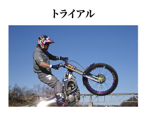 トライアル
