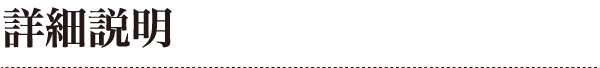詳細説明