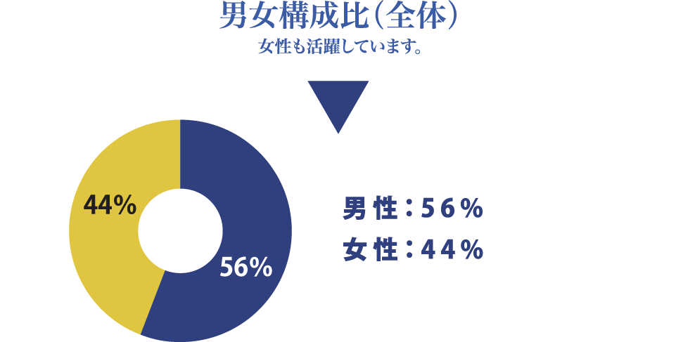 男女構成比